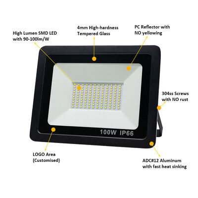 IP66 Waterproof LED Flood Lights 100W for Garden Yard Park Courtyard