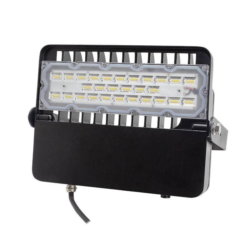 High Efficiency Outdoor LED Floodlight 100W 48V DC