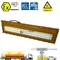 60 Watt Atex LED Flood Light